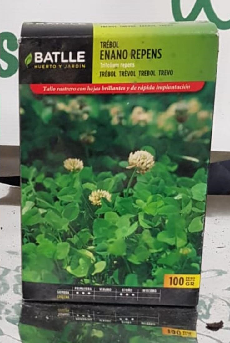 Graines De Gazon Trèfle Nain Blanc – Sachet De 250 G, Couvre 25 M² | Résistant, Faible Entretien, Soleil/ombre
